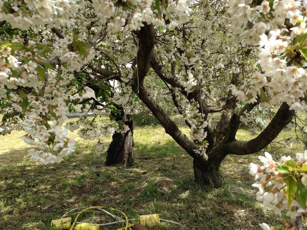 La Maison Du Peintre En Provence มัลล์มอร์ ภายนอก รูปภาพ