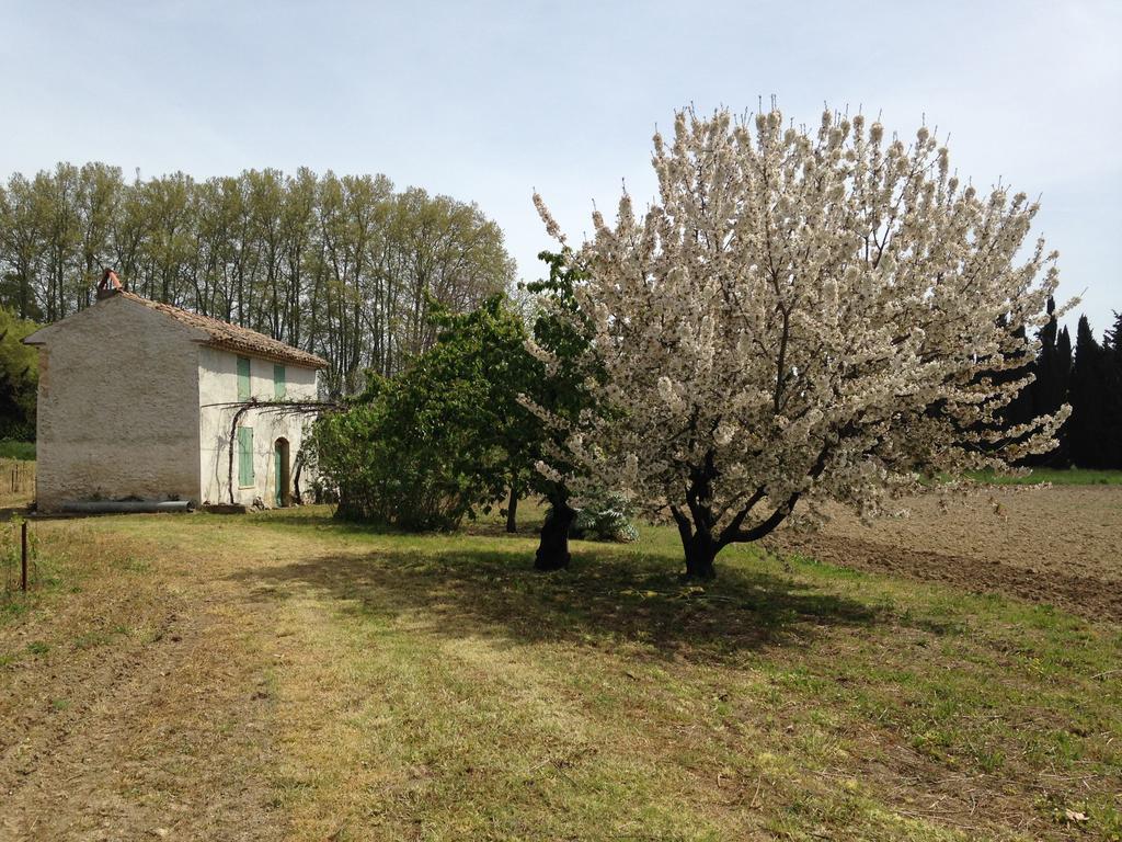 La Maison Du Peintre En Provence มัลล์มอร์ ภายนอก รูปภาพ
