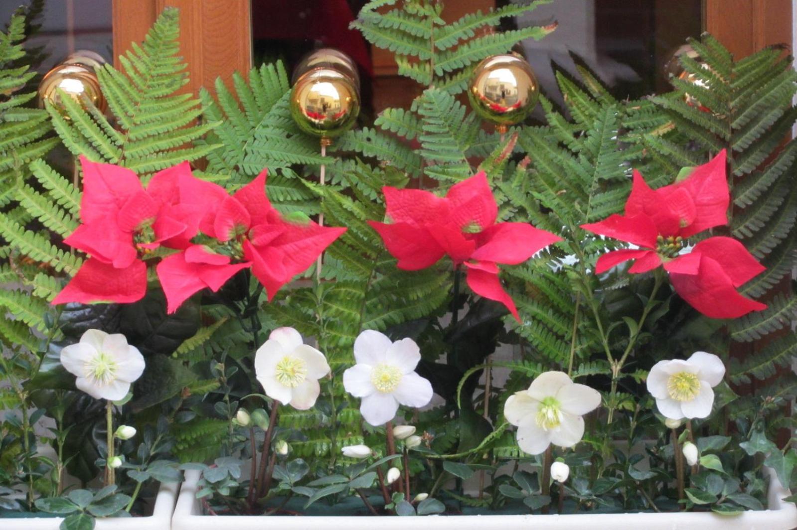 La Maison Du Peintre En Provence มัลล์มอร์ ภายนอก รูปภาพ